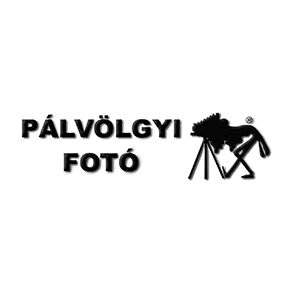 Pálvölgyi Fotó - logo